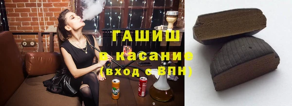 гашик Алексин
