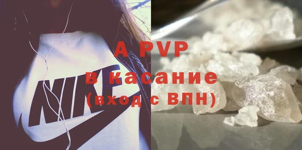 гашик Алексин