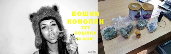 гашик Новозыбков