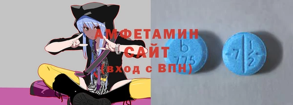 гашик Алексин