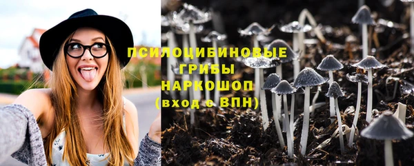 гашик Алексин
