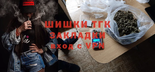 гашик Алексин