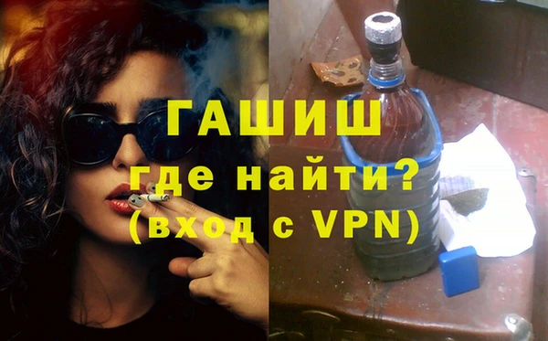 гашик Алексин